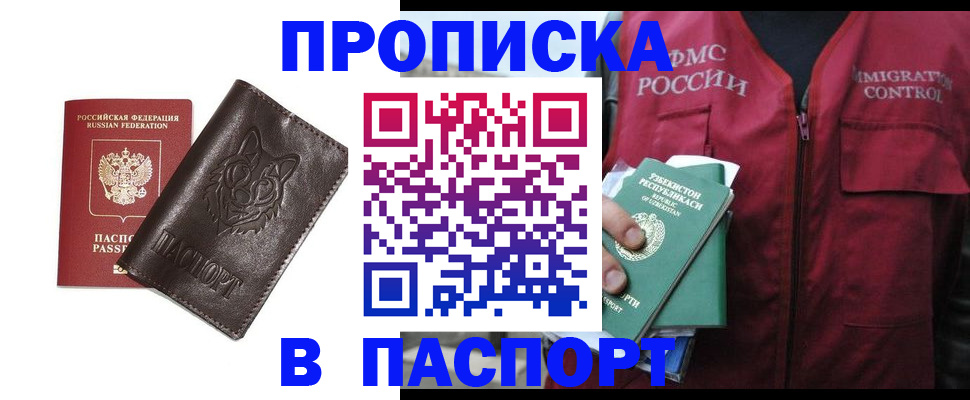 найти адрес прописки в Камышине